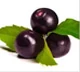 Bayas de Acai: Ingrediente clave en Silvets para acelerar el metabolismo.
