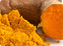 Ilustración de Curcumin C3 Complex, extracto de cúrcuma para bienestar articular.