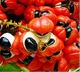 Guaraná: Ingrediente energético de Silvets para aumentar la vitalidad y energía.
