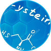 Representación visual de uno de los ingredientes clave en la fórmula avanzada de Semaxin.